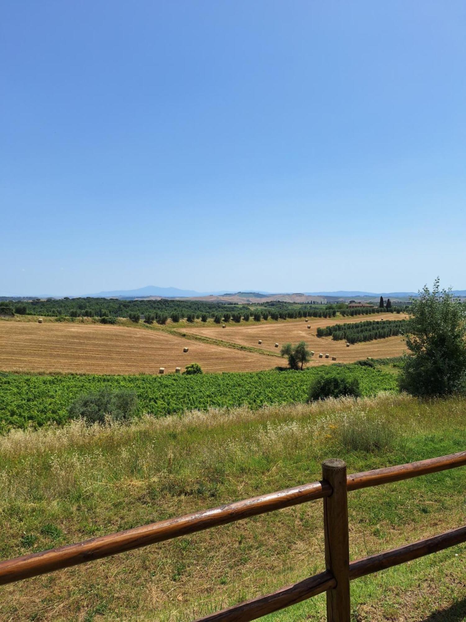 مبيت وإفطار كاستيلْنْوافو بيراردين Casa Paola Nel Chianti المظهر الخارجي الصورة